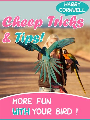 cover image of Cheap Tricks and Tips